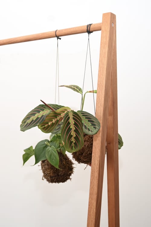 Dubový stojanový věšák